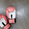Pourquoi se mettre à la boxe ?