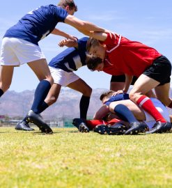 Maillot du XV de france : éditions spéciales, collectors et modèles rares